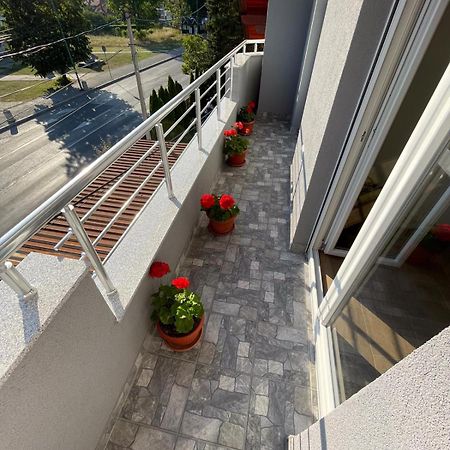 Apartman Ambijent Arandjelovac Eksteriør bilde